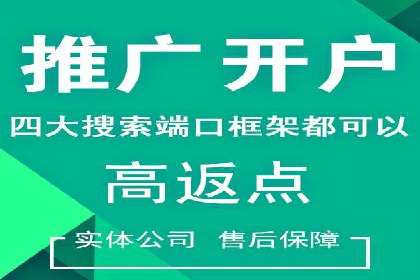 SEM竞价代运营：案例展示广告投放优化技巧